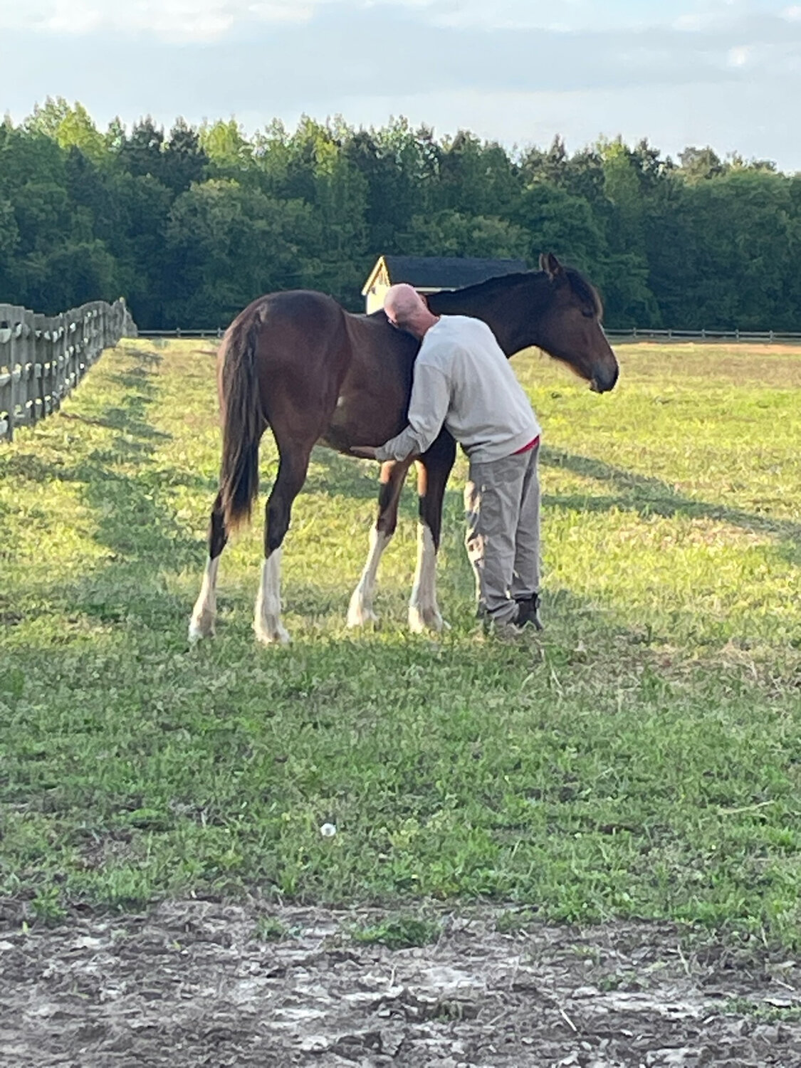 Late Milford veterinarian remembered Bay to Bay News